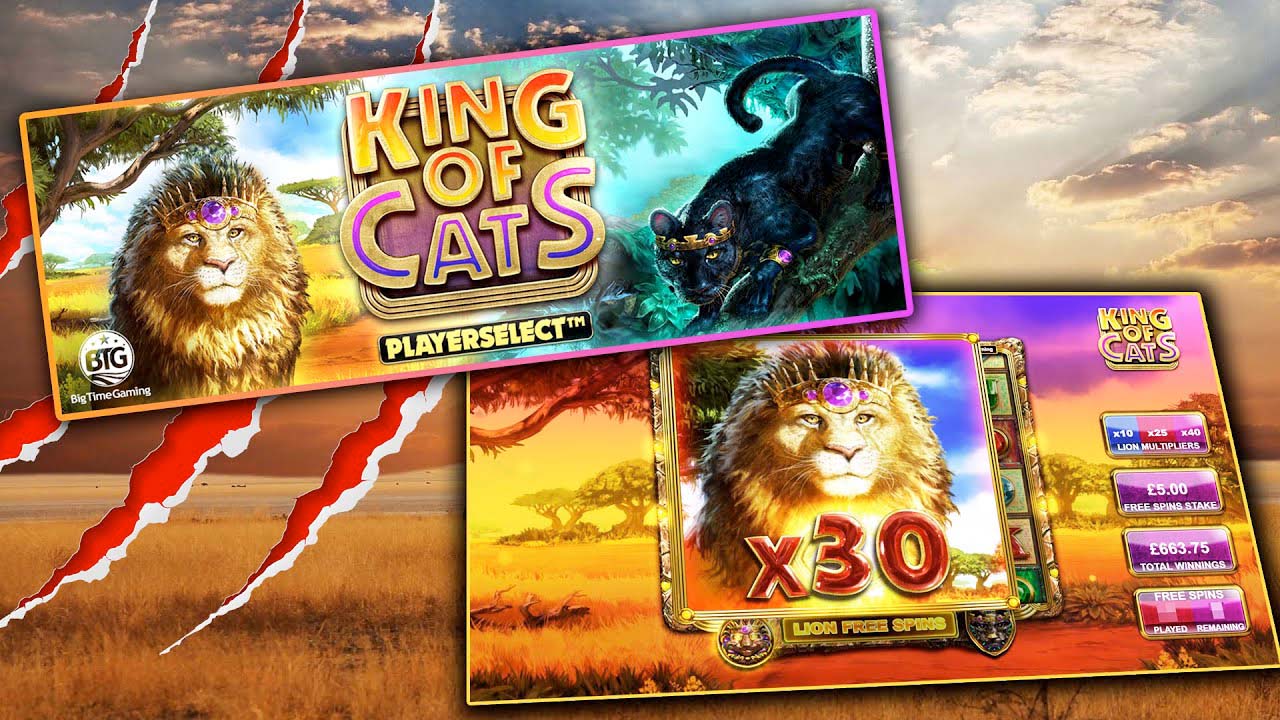 Screenshot of the King of Cats slot by Big Time Gaming