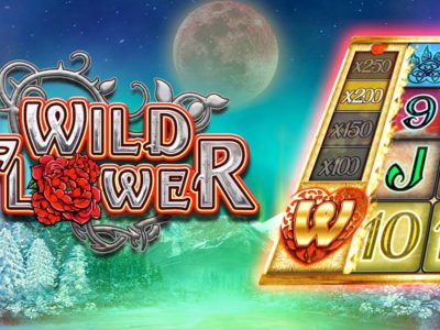 Screenshot of the Wild Flower slot by Big Time Gaming