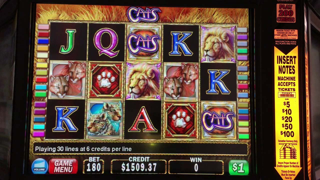 Screenshot of the Cats slot by IGT