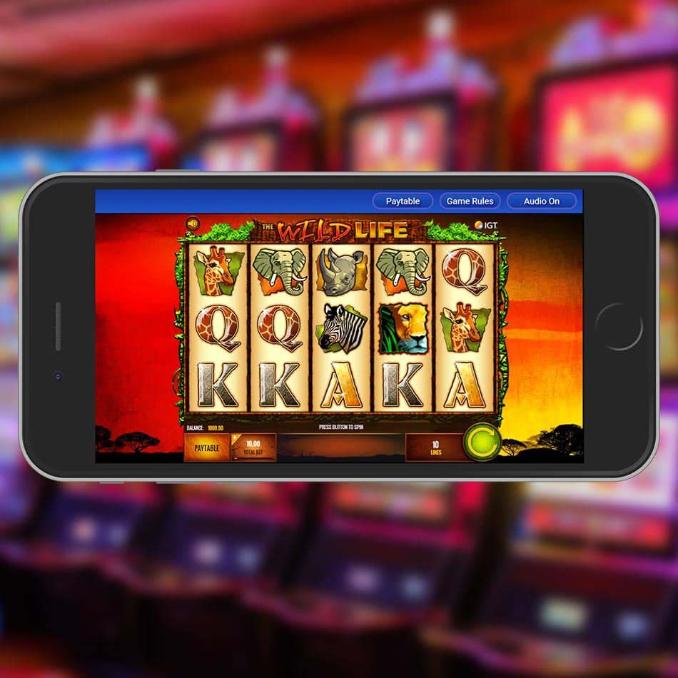 Screenshot of the The Wild Life slot by IGT