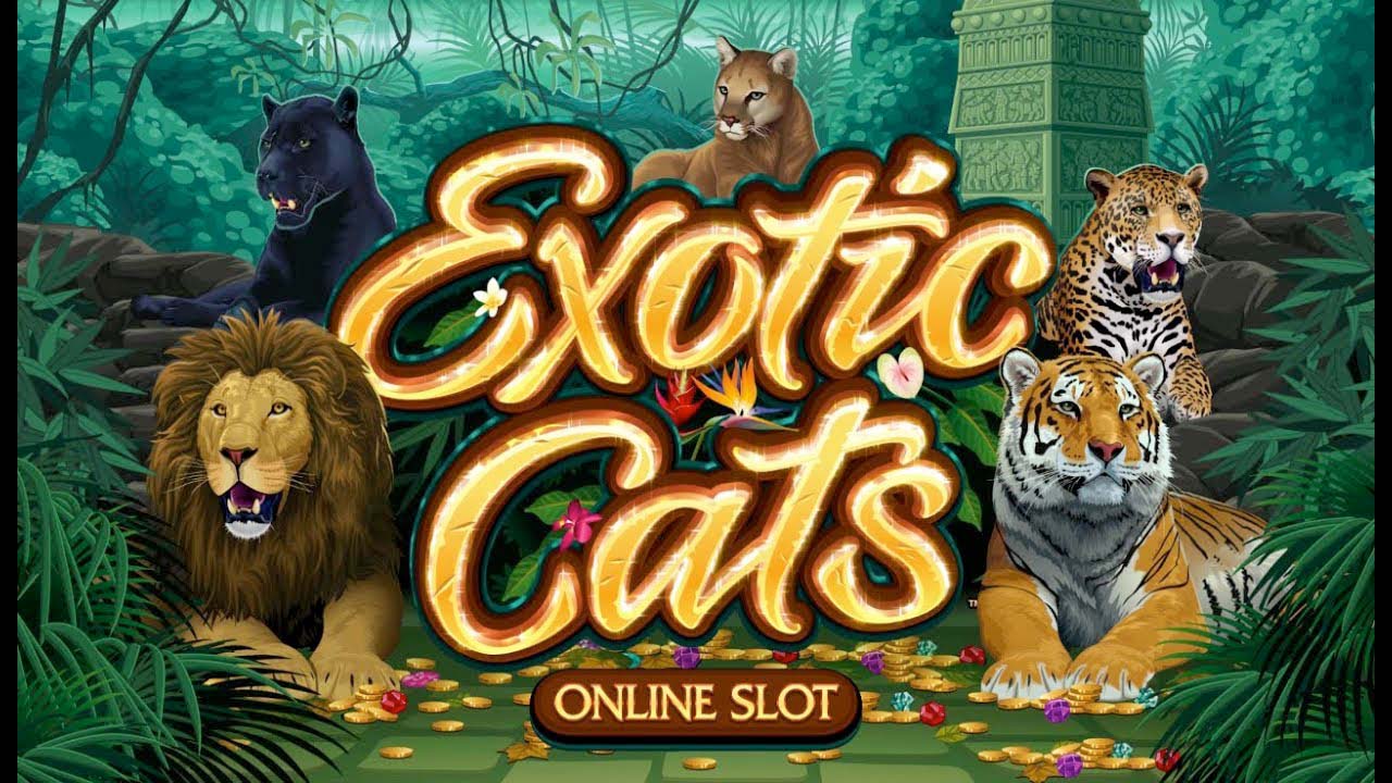 Screenshot of the Exotic Cats slot by Microgaming
