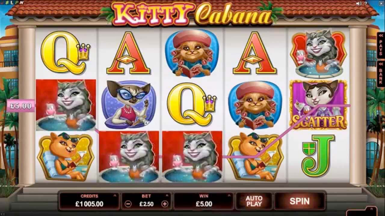 Screenshot of the Kitty Cabana slot by Microgaming