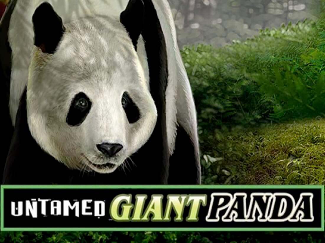 Screenshot of the Untamed Giant Panda slot by Microgaming