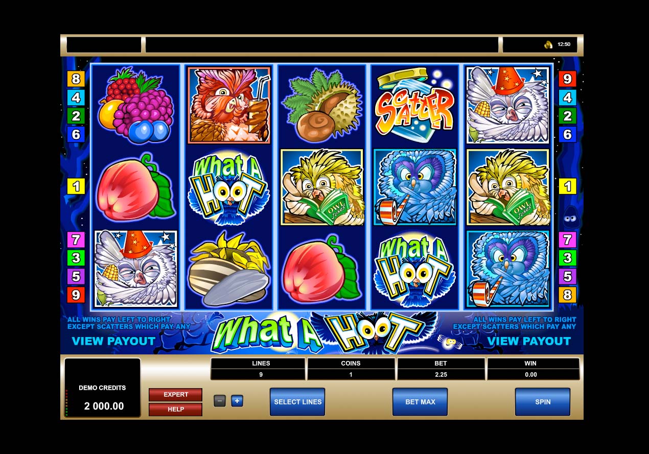 Screenshot of the What a Hoot slot by Microgaming