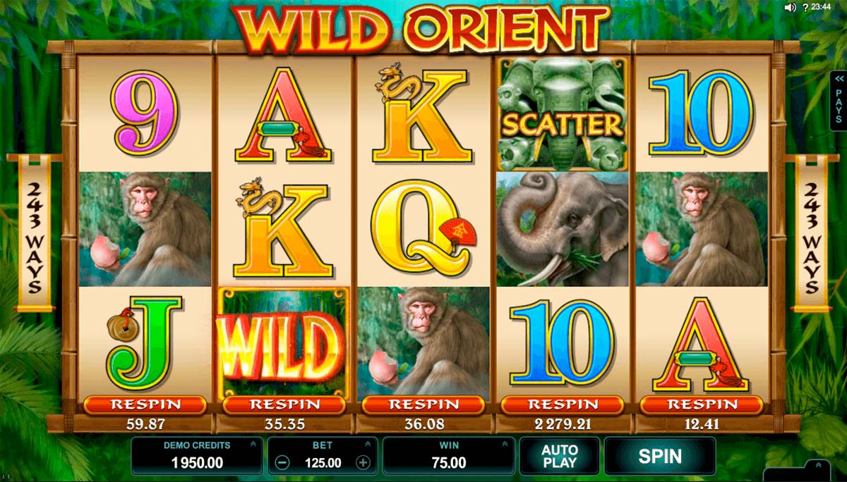 Screenshot of the Wild Orient slot by Microgaming