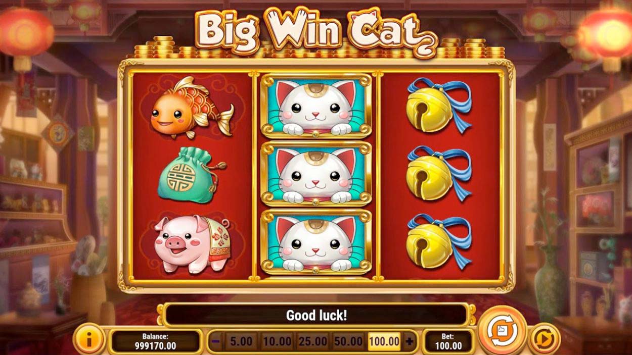 Screenshot of the Big Win Cat slot by Play N Go