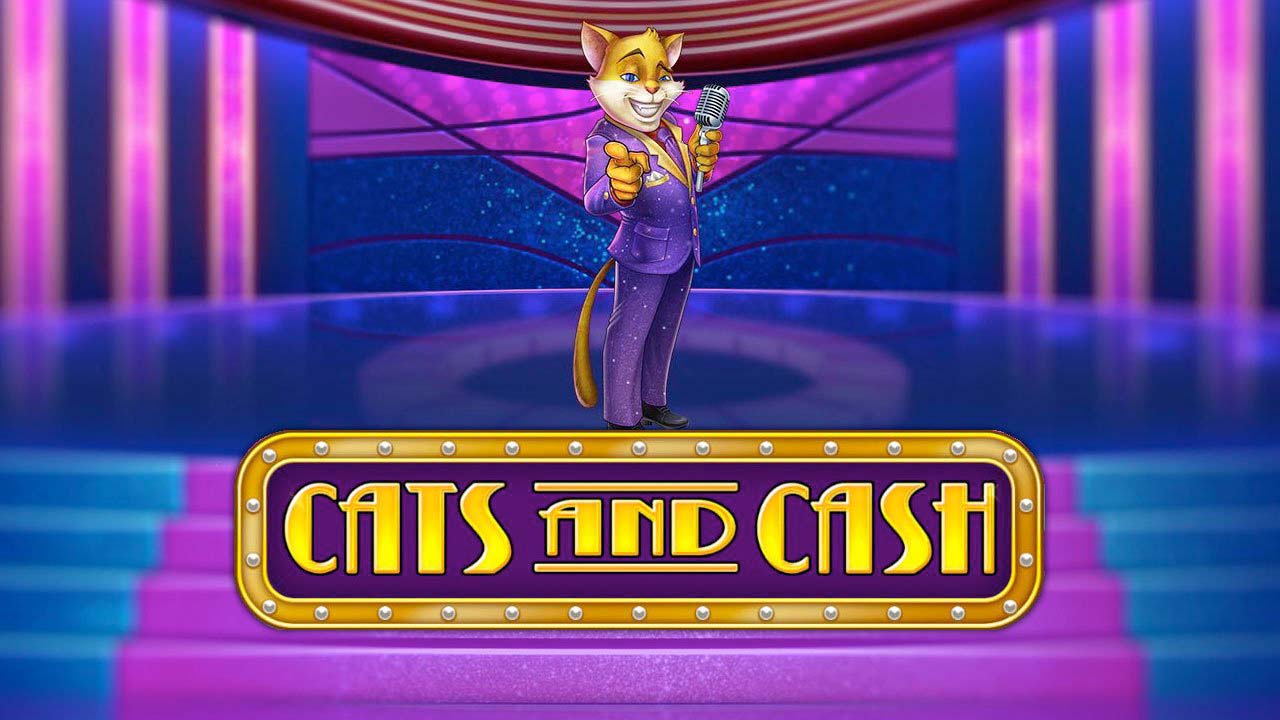 Screenshot of the Cats and Cash slot by Play N Go