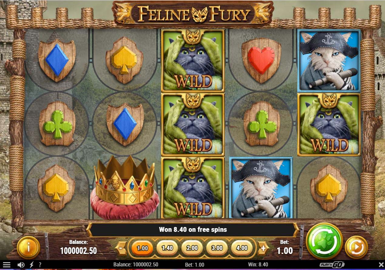 Screenshot of the Feline Fury slot by Play N Go