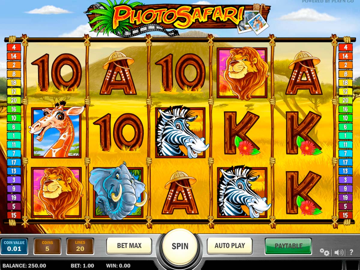 Screenshot of the Photo Safari slot by Play N Go