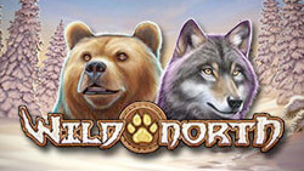 Screenshot of the Wild North slot by Play N Go