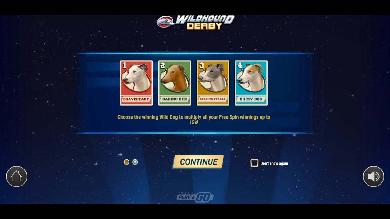 Screenshot of the Wildhound Derby slot by Play N Go