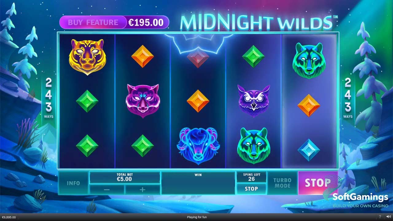 Screenshot of the Midnight Wlilds slot by Playtech
