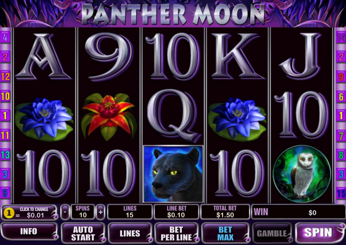 Screenshot of the Panther Moon slot by Playtech