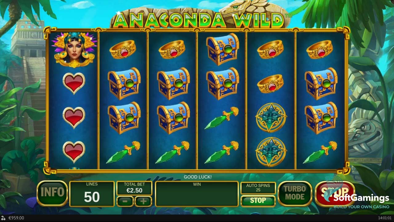 Screenshot of the Wild Games slot by Playtech