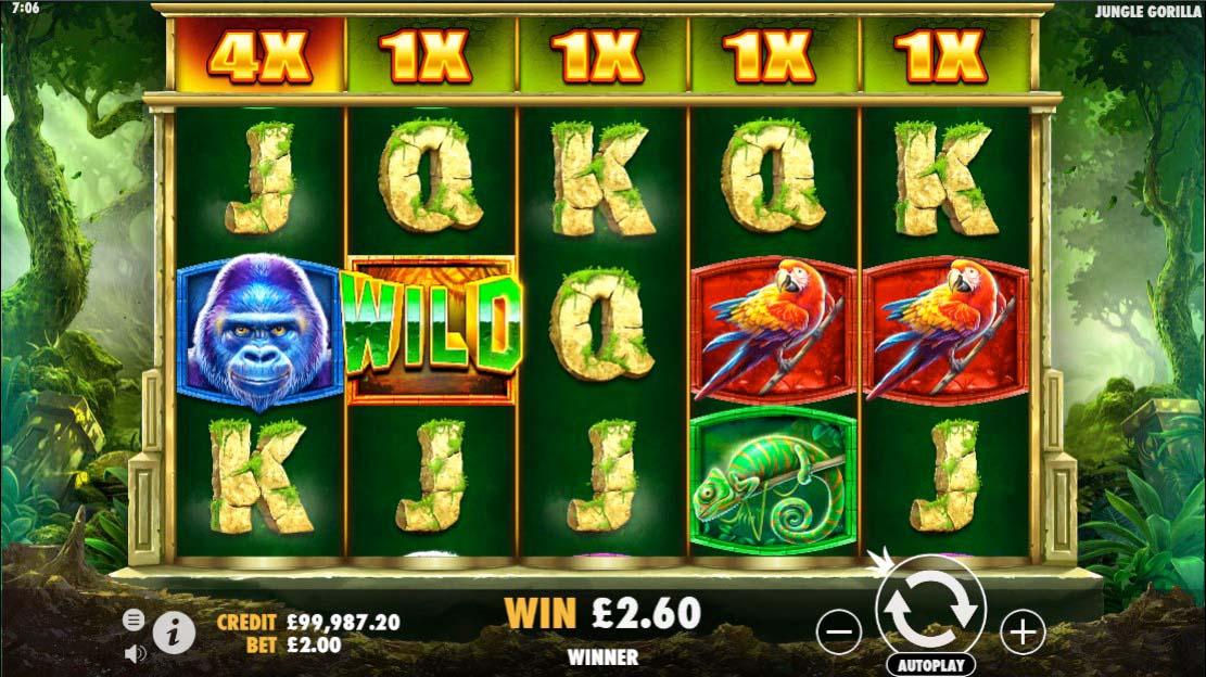 Screenshot of the Crazy Jungle slot by Pragmatic Play