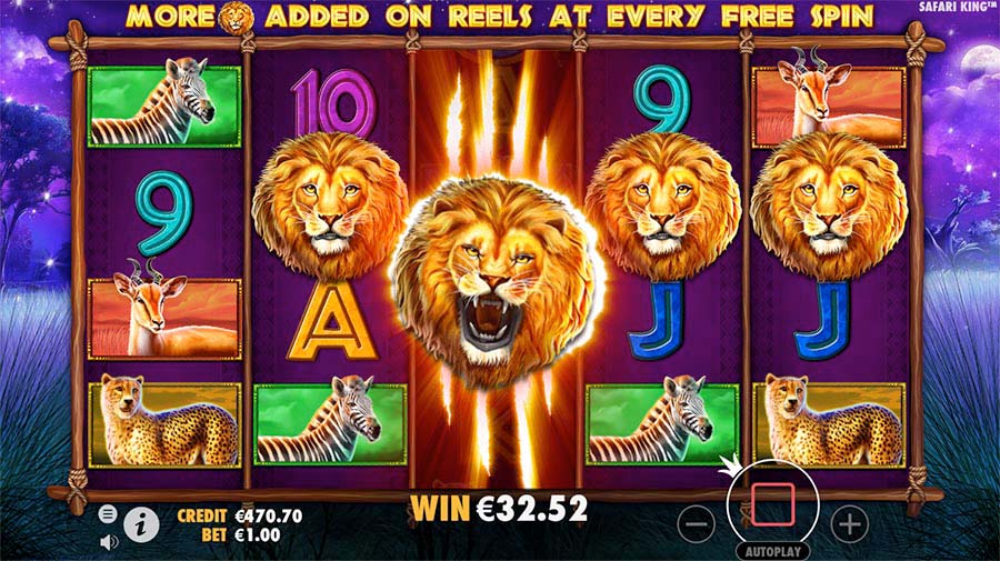 Screenshot of the Safari King slot by Pragmatic Play
