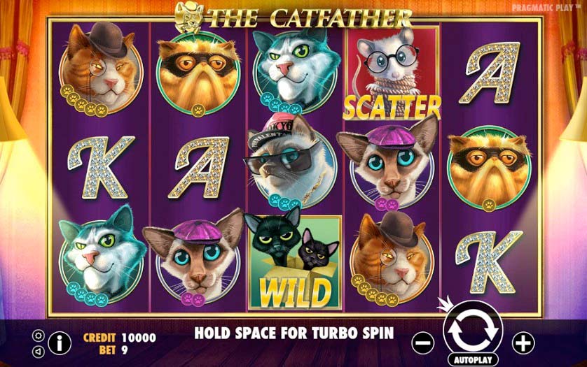 Screenshot of the The Catfather slot by Pragmatic Play