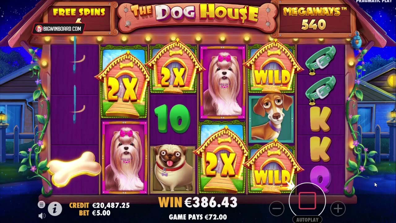 Screenshot of the The Dog House slot by Pragmatic Play