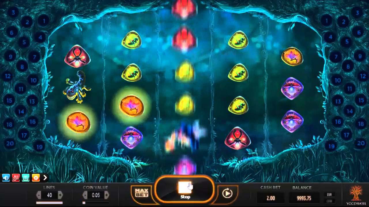 Screenshot of the Magic Mushrooms slot by Yggdrasil Gaming