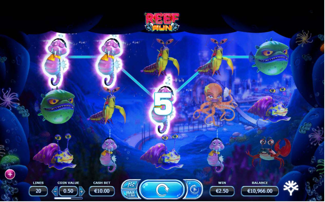 Screenshot of the Reef Run slot by Yggdrasil Gaming
